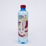 AQUAMIST  APPLE WATER  500ML