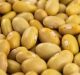 0025.11.00, YELLOW BEANS 1/2KG