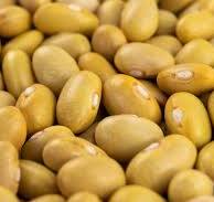 0025.11.00, YELLOW BEANS 1KG