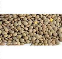 0025.11.00, KAMANDE 1/2KG